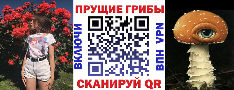 даркнет состав  мега сайт  Гаврилов-Ям  Псилоцибиновые грибы Cubensis 
